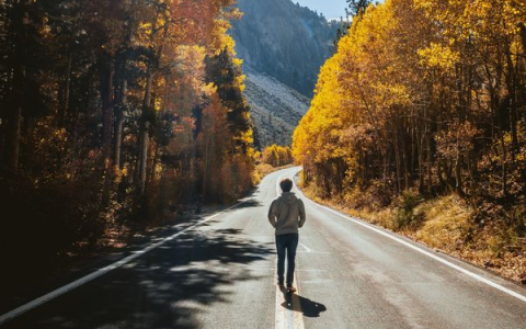 ООО "Компания "База Электроники" о важности пеших прогулок