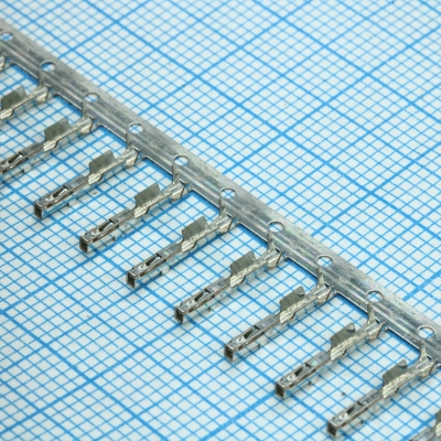 5600230448