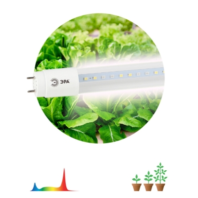 Фитолампа для растений светодиодная ЭРА FITO-18W-Ra90-Т8-G13-NL полного спектра 18 Вт Т8 G13(кр.5шт)