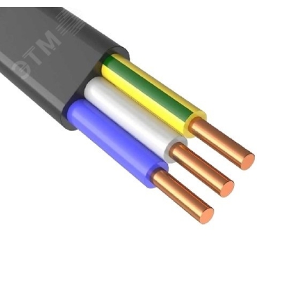 Кабель ВВГ-Пнг(А)-LS 3х10 ОК (N PE) 0.66кВ (м) TR4222