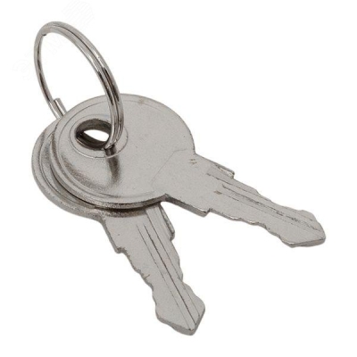 Ключ для замка (арт. 18-20/38-ip31) PROxima key-1