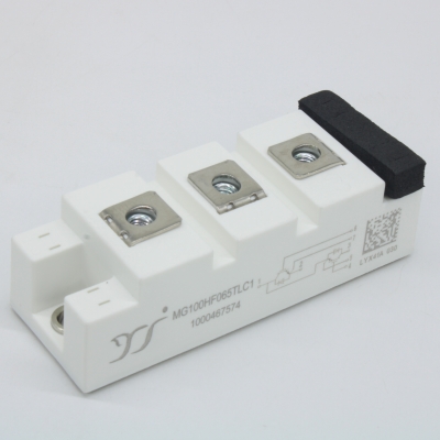 MG100HF065TLC1