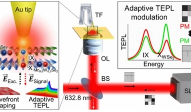 Исследователи из Нового физтеха Университета ИТМО и университета Южной Кореи разработали сверхкомпактный оптический переключатель.